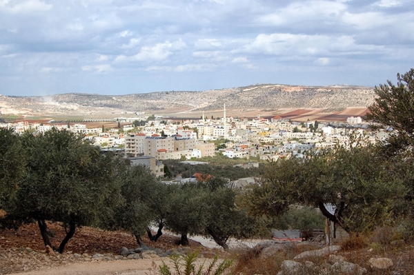 Zababdeh - الزبابدة