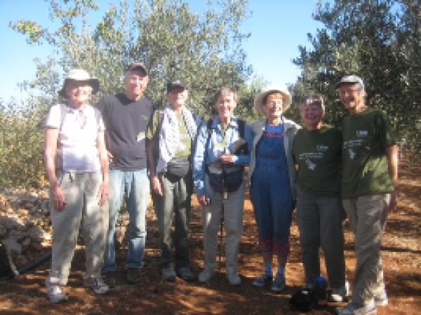 Sherrill Group 2013